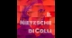 Il Nietzsche di Colli, cover