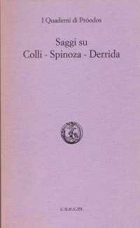 Auteri, Saggi su Colli, Spinoza, Derrida