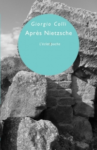 Copertina libro Après Nietzsche
